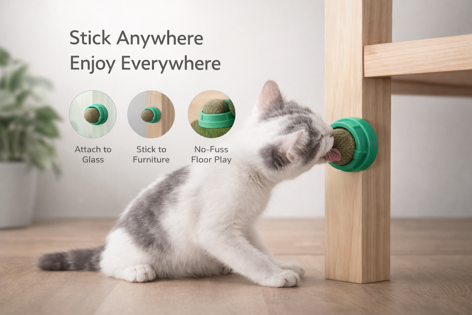 PurrPop™ Catnip Wall Ball